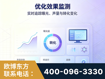 德州-优化效果监测