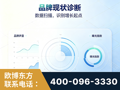 德州-品牌现状诊断